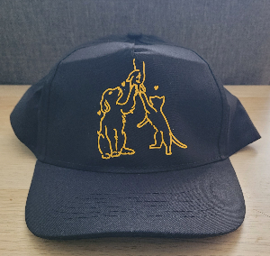 Photo de Casquette Noir