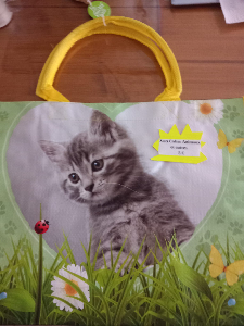 Photo de Sac Cabas