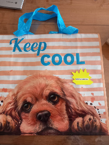 Photo de Maxi Sac Cabas