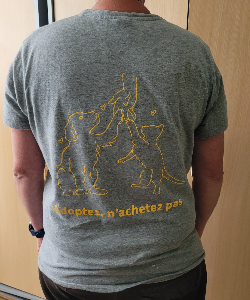 Photo de Tee-Shirt Gris