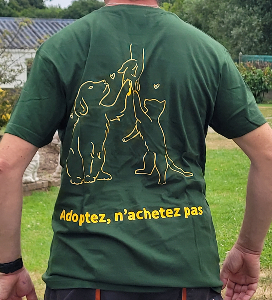 Photo de Tee-Shirt Kaki